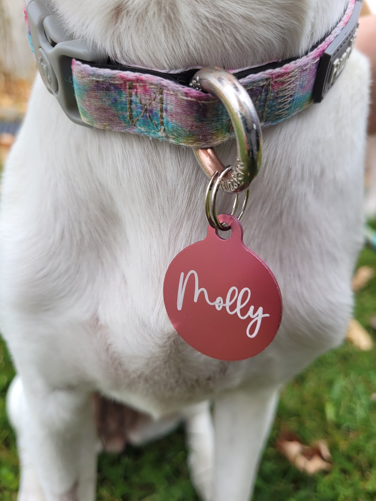 Custom dog tags